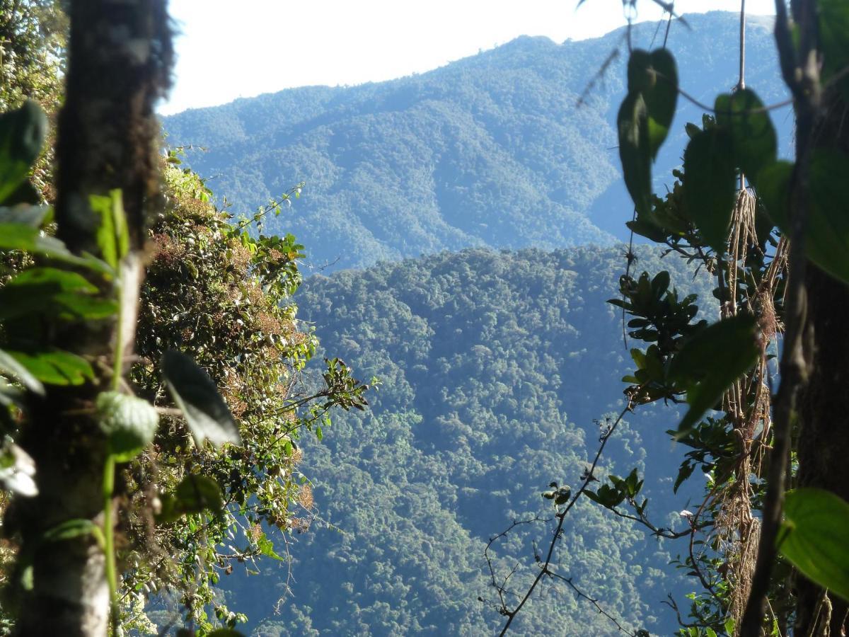 Patricia And Ned'S Cloud Forest Farm Cotacachi Exterior foto